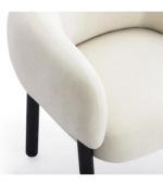 Nasaq Home - Foxy Performance Fabric Chair - Image 2